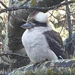 Meet your Posher, Kristie